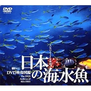 【クリックで詳細表示】日本の海水魚 DVD映像図鑑
