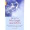 die st�ndig wechselnde Liste: