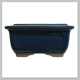 Bonsai pot | Blue Ceramic size 7 - Deep - joebonsai