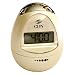 Egg-Shape Timer