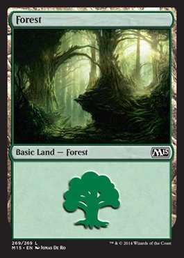 Magic: the Gathering - Forest (269/269) - Magic 2015 - Foil