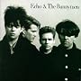 Echo & the Bunnymen