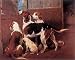 Hounds By A Stable Door by John Emms - Fine Art Print / Poster - 28.75 x 23.00