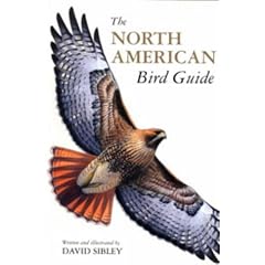 The North American Bird Guide