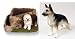 German Shepherd (Tan and Black) Triangle Planter