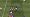 Pro Evolution Soccer 6 (Xbox 360)