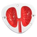 Funny Lung
