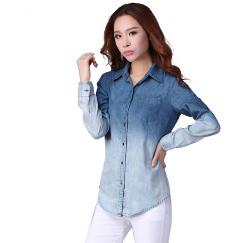 Zeagoo Women's Gradual Single-Breasted Long Sleeve Shirt Blouse