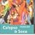 Rough Guide to Calypso & Soca