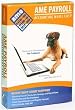 Ame Small Business Payroll
