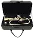 Signature Music Brand New Pro Bb Brass Flugel Horn 2152L