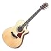 Taylor�@412CE�@�A�R�[�X�e�B�b�N�M�^�[