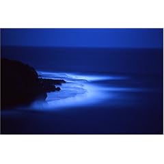 ������ Moonlight Shower [DVD]