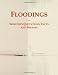 Floodings: Webster