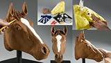 Review Casdon  / PegSculpture 569 Toy Horse Reconstruction Kit