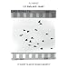 Let England Shake: 12 Short Films By Seamus Murphy [DVD] [2011]