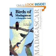 Birds of Madagascar: A Photographic Guide