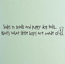 snips and snails boy definition wall decal quote