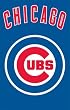 Chicago Cubs Applique Embroidered Banner Flag 44"x28" MLB Baseball Fan Shop Sports Team Merchandise