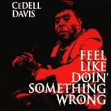 Feel Like Doin Something Wrong