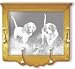   - Wall Mounted Etched Mirror Coat Rack - Dog Art Etching - Solid Oak, Hand-Rubbed Finish, 26 x 22 inches