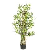 5' Bamboo Grass Silk Plant