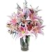 Elegant Tribute Sympathy Flowers