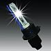 Zenex 9006 6000K HID Xenon Bulb (1 Pair, Diamond White)