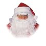 Santa Wig And Beard Adult