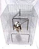 Pet Supplies : 2 Story Condo Cage for Rabbit or Ferret