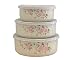 Pfaltzgraff Tea Rose 6-Piece Enamel on Steel Bowl Set, Small
