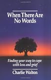 When There Are No Words