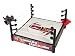 Wwe  Flexforce Tornado Takedown Ring