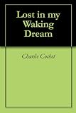 Lost in my Waking Dream