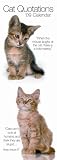 Cat Quotations 2009 Slimline Calendar