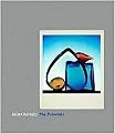 Andre Kertesz (The Polaroids) (Hardcover)
