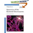 Dynamics of the Bacterial Chromosome: Structure and Function by Wolfgang Schumann