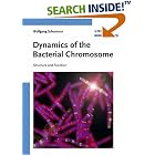Click here to buy Dynamics of the Bacterial Chromosome: Structure and Function by  Wolfgang Schumann.