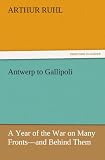 Antwerp to Gallipoli: A Year of the War on Many Fronts - and Behind Them