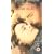 Message In A Bottle [VHS] [1999]