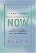 Practicing the Power of Now: Essential Teachings, Meditations, and Exercises from The Power of Now