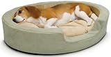 Pet Supplies : All Season Snuggly Dog Bed Sleeper - Both Heats and Cools -Large -Sage
