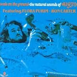 Seeds on the Ground ~ Airto Moreira