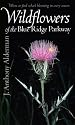 Wildflowers of the Blue Ridge Parkway