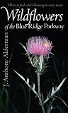 Wildflowers of the Blue Ridge Parkway