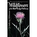 Wildflowers of the Blue Ridge Parkway