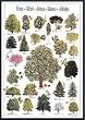 Art Poster Metal Framed Print - Trees-International Ed. - Artist: Hobby Posters- Poster Size: 38 X 26