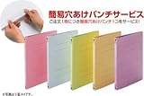 アーテック フラットファイルS型B510冊 ブルー 3041