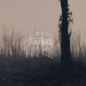 subsonica - Il Vento Lyrics - Zortam Music