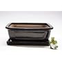 Bonsai Pot - 10 inch brown rectangle with tray by GREEN DRAGON BONSAI